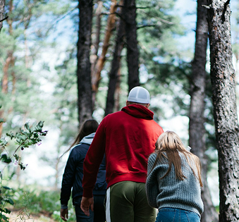 Three people hiking in the woods