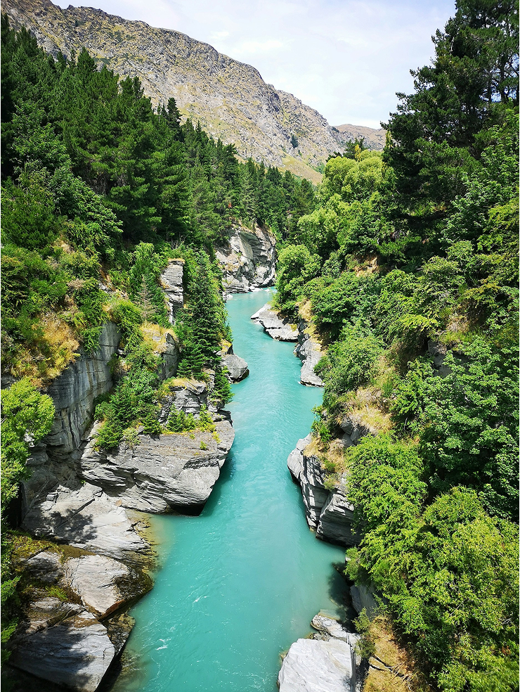A river winding through a forest