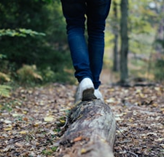 One person walking over a fallen tree branch